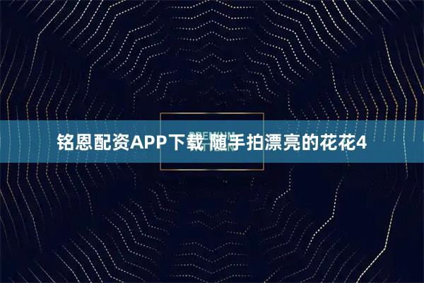 铭恩配资APP下载 随手拍漂亮的花花4