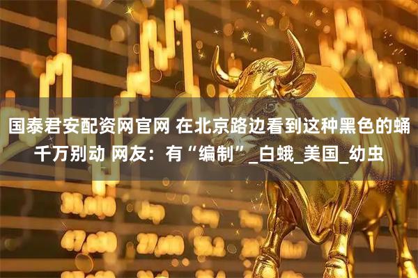 国泰君安配资网官网 在北京路边看到这种黑色的蛹千万别动 网友：有“编制”_白蛾_美国_幼虫