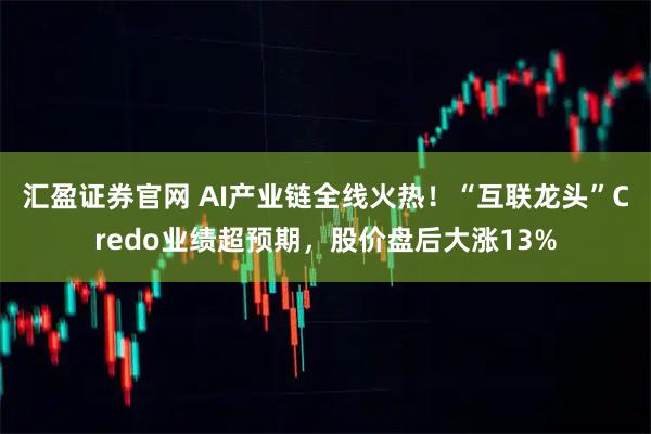 汇盈证券官网 AI产业链全线火热！“互联龙头”Credo业绩超预期，股价盘后大涨13%